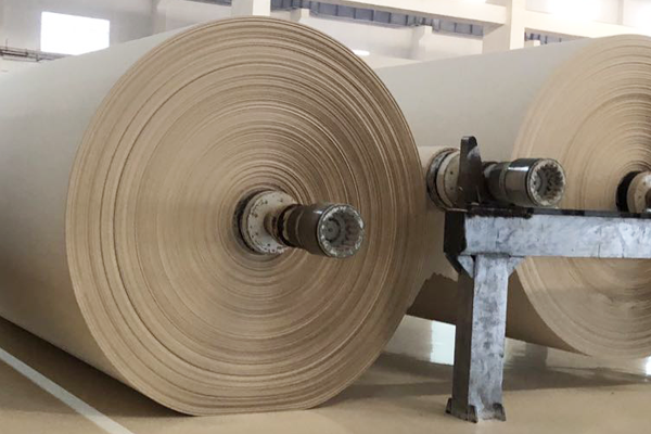 Tissue Parent Rolls